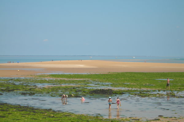 Banc du Bucheron