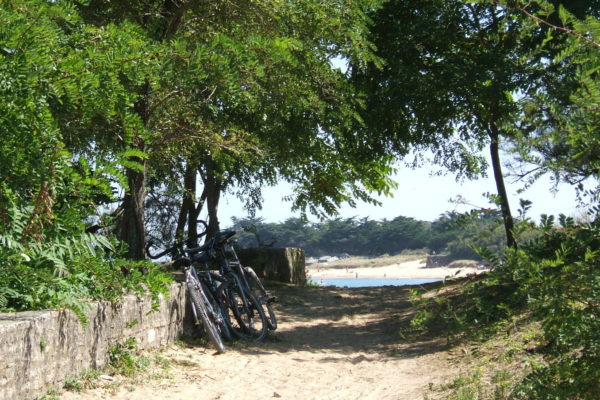 Vélo-Les-Portes - Ile de Ré